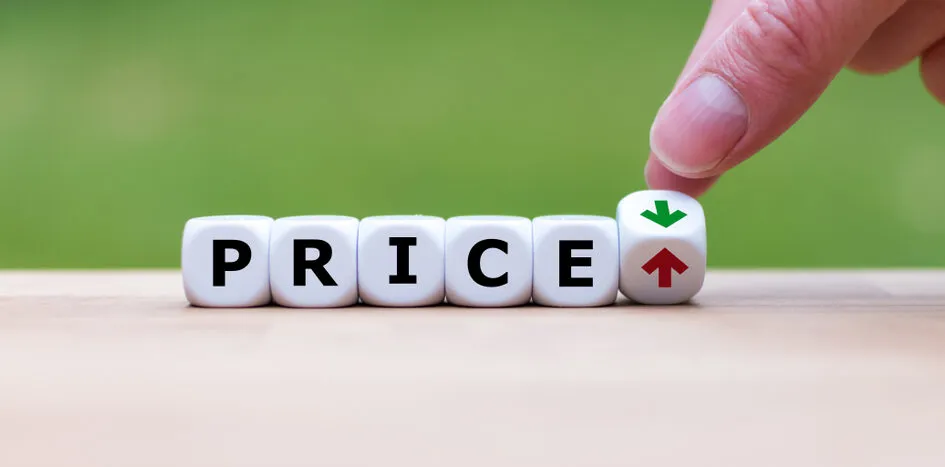 Best Pricing Strategies to Maximize Profit Margins